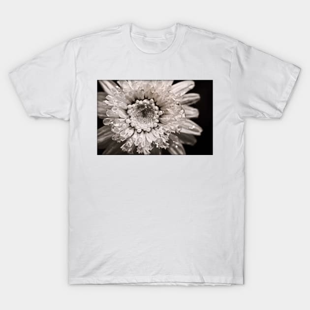 Cupping Crystals T-Shirt by micklyn